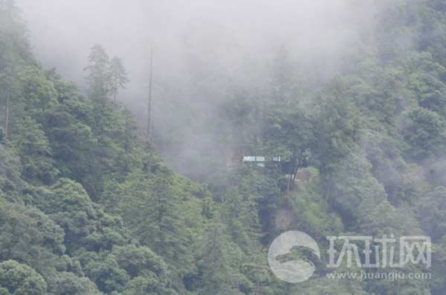 ӡ߅ӡ܊վ[ԭʼɭ