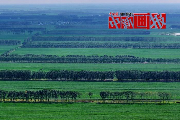 “植”此青綠 “綠色能量”根本收不完！