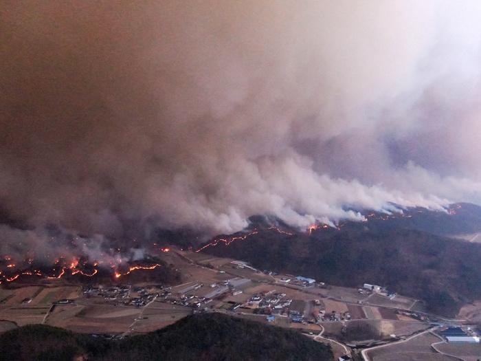 韓國山火持續(xù)蔓延 國家遺產廳發(fā)布最高級別警報