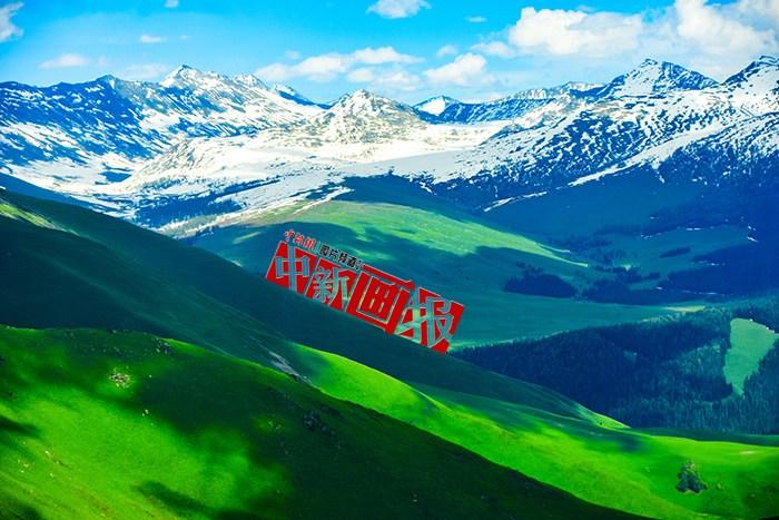 將夏天的“綠” 裝進(jìn)屏幕里，一組護(hù)眼壁紙請(qǐng)查收！