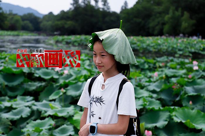 入伏有“涼”方 “花式”避暑輕松Get！