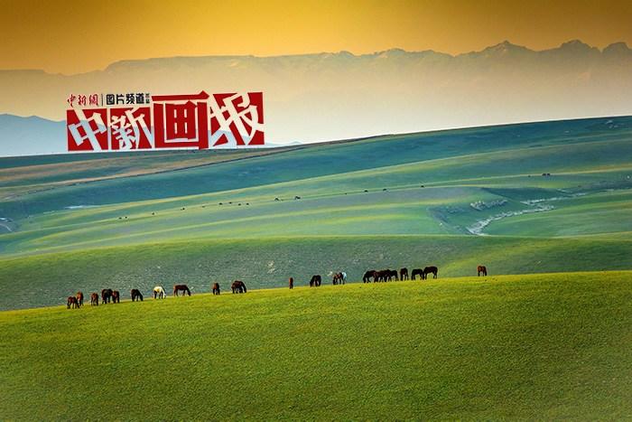 走進“天”邊的畫卷 共赴大美新疆