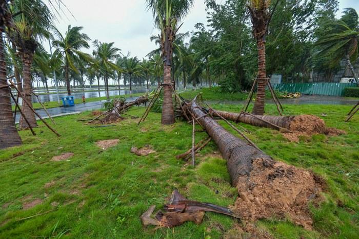 強臺風“麥德姆”攜強風雨影響?？?>
     <p>強臺風“麥德姆”攜強風雨影響海口</p>
</a><a href=