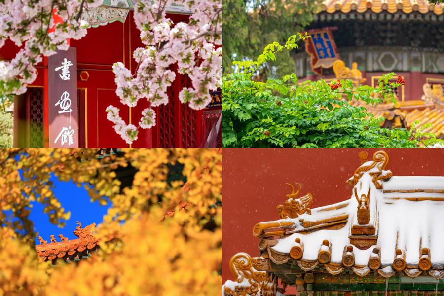 百歲快樂！一組圖領(lǐng)略故宮四季流轉(zhuǎn)之美