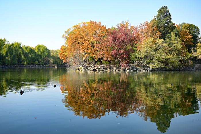 深秋的北大未名湖風景如畫