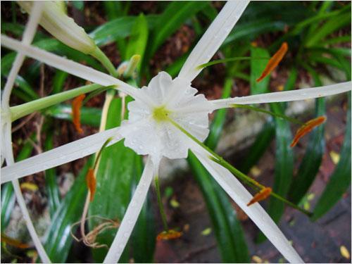 ܔ(sh)aCЈ MPעǰʮC