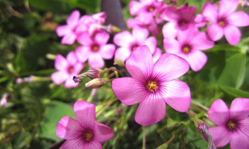 ܔ(sh)aC(j)Ј MP(gun)עǰʮC(j)