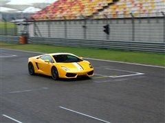 (q)UţwmLP550-2 ܇֮