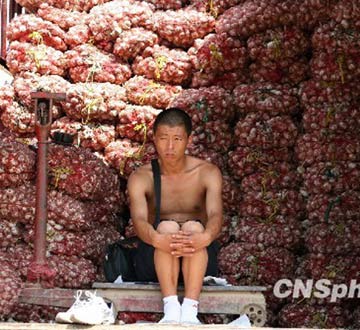 r(ji)iF(tun)l(shu)Ļ