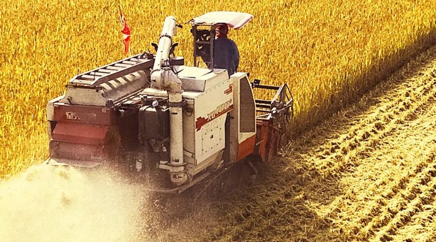 “察實情、辦實事、求實效”，這十句話，振奮人心！