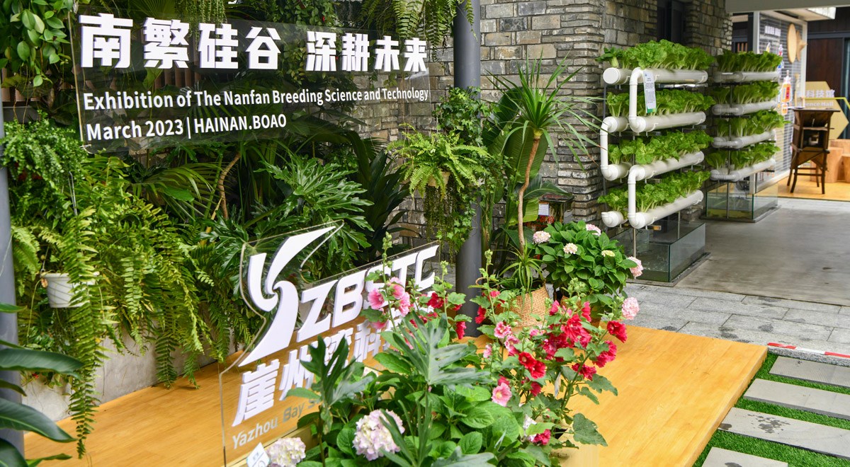 三亞攜南繁果實、深海利器亮相博鰲亞洲論壇年會