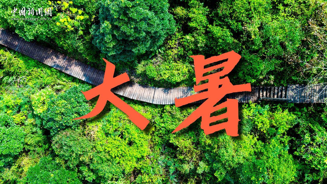 大暑：蟬鳴喚清風 萬物豐盈綠意濃