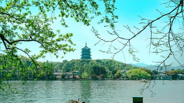 江山如此多嬌 | 西湖美景，八月天吶